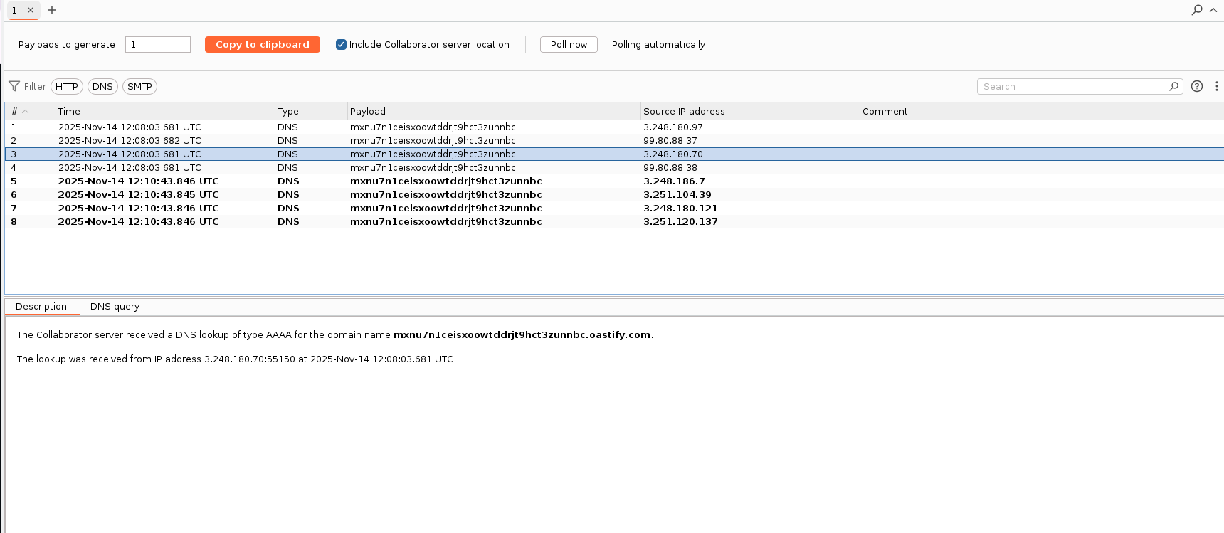Collaborator DNS lookup1